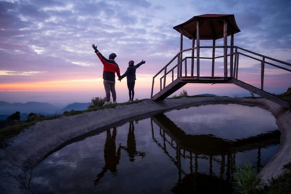 What are the best practices for dealing with insects while camping?