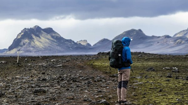 Immersion in avignon: learn french through culture and conversation