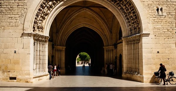 Immersion in avignon: learn french through culture and conversation